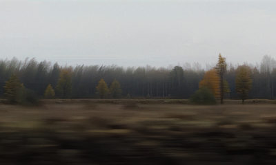 Картина мира Твоя